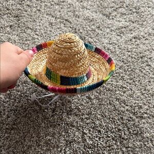 Vibrant Pet Straw Sombrero Hat